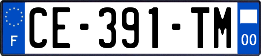 CE-391-TM