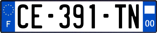 CE-391-TN
