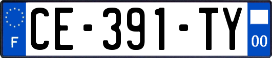 CE-391-TY