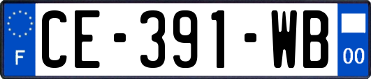 CE-391-WB