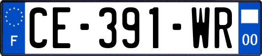 CE-391-WR