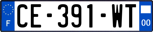 CE-391-WT
