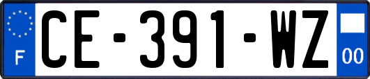 CE-391-WZ