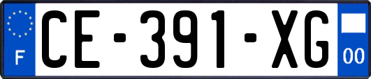 CE-391-XG