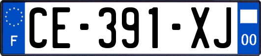 CE-391-XJ