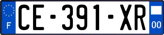 CE-391-XR