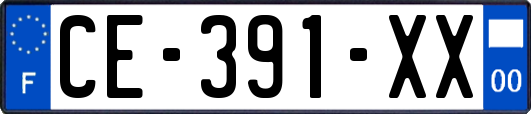 CE-391-XX