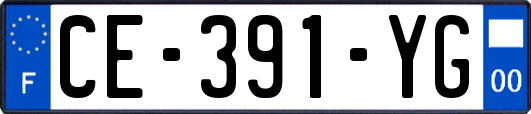 CE-391-YG