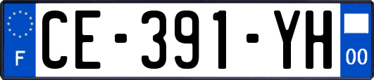 CE-391-YH