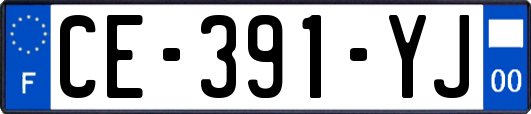 CE-391-YJ