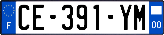 CE-391-YM