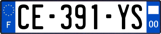 CE-391-YS