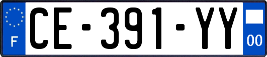 CE-391-YY