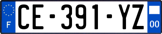 CE-391-YZ