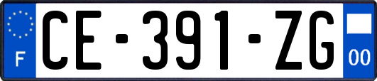 CE-391-ZG