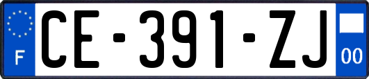 CE-391-ZJ