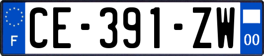 CE-391-ZW