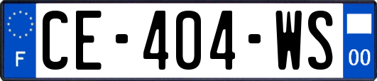 CE-404-WS