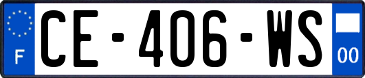 CE-406-WS
