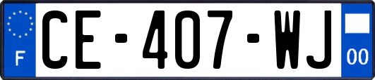 CE-407-WJ