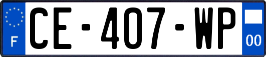CE-407-WP