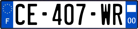 CE-407-WR