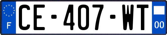 CE-407-WT