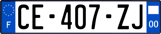 CE-407-ZJ