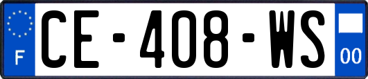 CE-408-WS