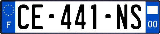 CE-441-NS