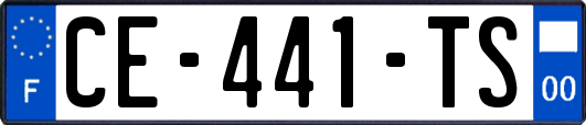 CE-441-TS
