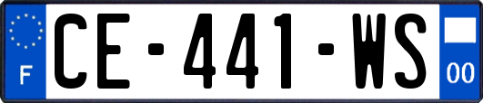 CE-441-WS