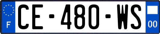 CE-480-WS