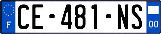 CE-481-NS