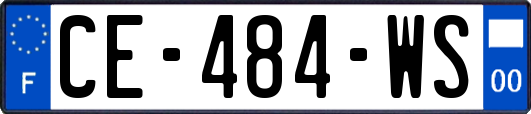 CE-484-WS