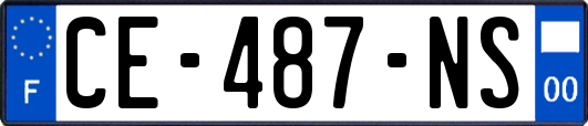 CE-487-NS