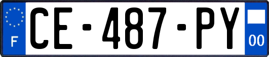 CE-487-PY