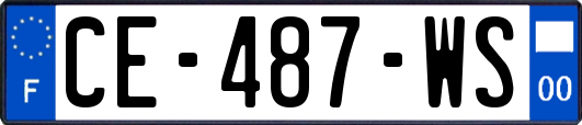 CE-487-WS