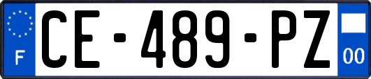 CE-489-PZ