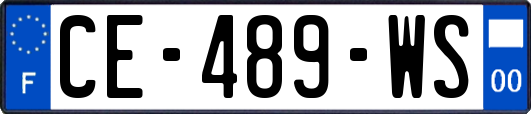 CE-489-WS