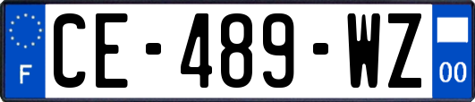 CE-489-WZ