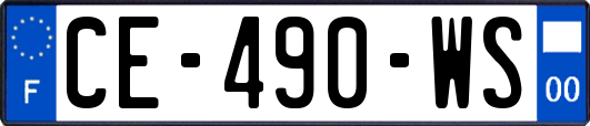 CE-490-WS