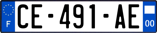 CE-491-AE