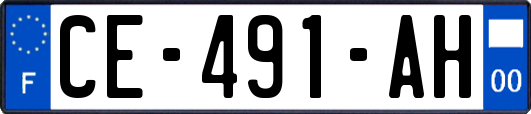 CE-491-AH