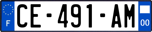 CE-491-AM