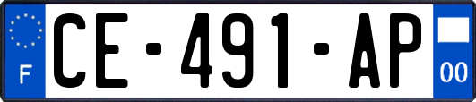 CE-491-AP