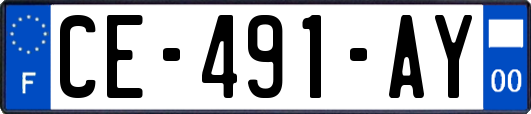 CE-491-AY