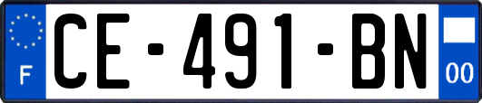 CE-491-BN
