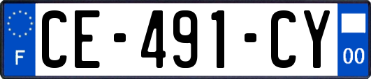 CE-491-CY