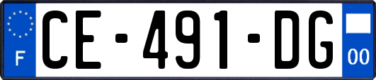 CE-491-DG